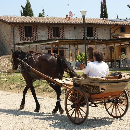 Agriturismo La Colombaia Villa Vicchio Exterior photo
