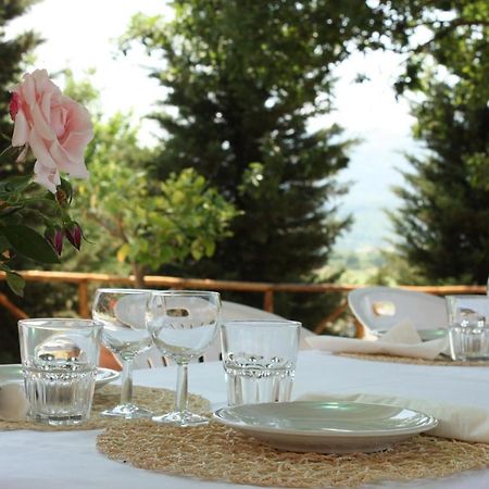 Agriturismo La Colombaia Villa Vicchio Exterior photo